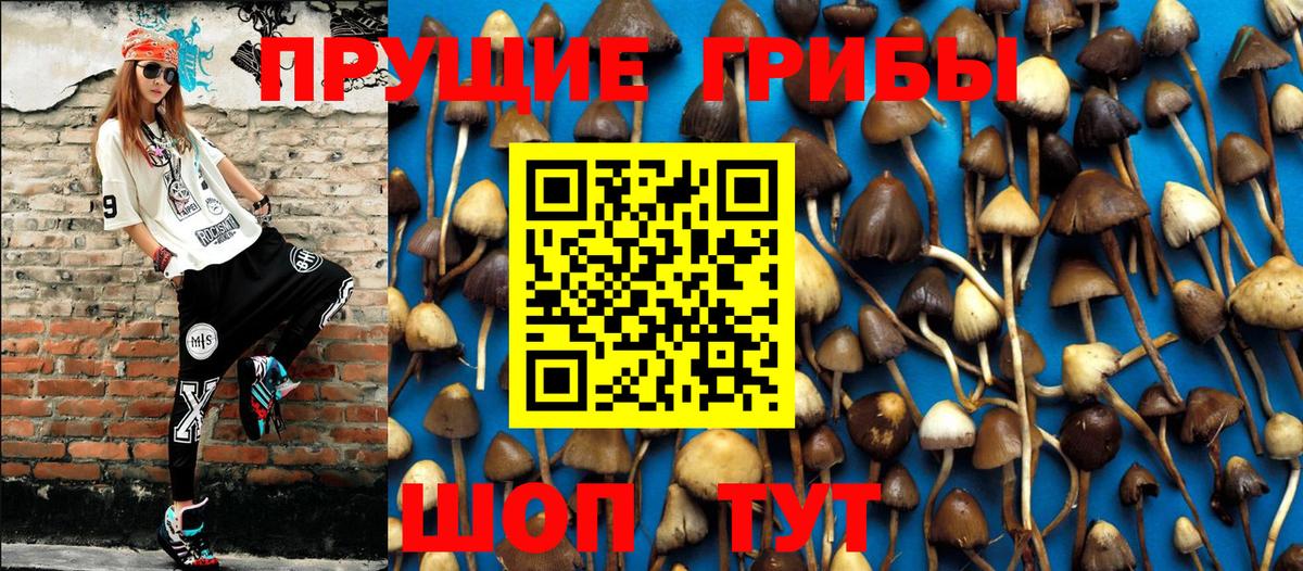 Псилоцибиновые грибы Magic Shrooms  Вход с VPN  Воскресенск 