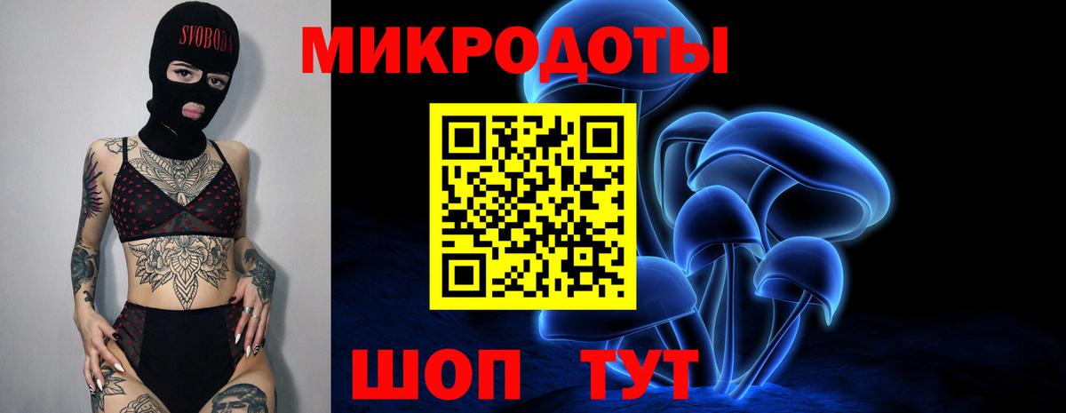 Псилоцибиновые грибы Psilocybine cubensis Воскресенск